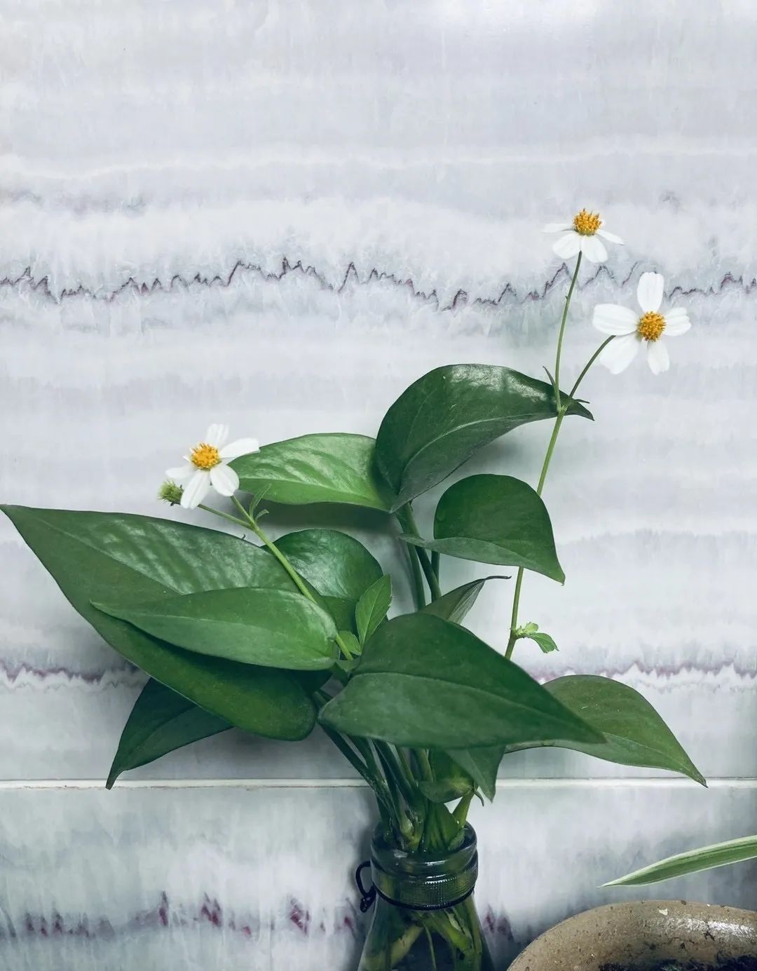 送别|多年后我的身边空无一人，才终于听懂朴树的《送别》