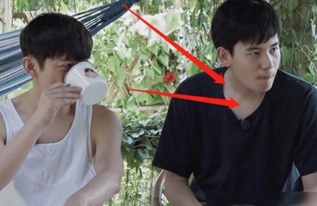 向往的生活|《向往4》的录制到底有多累看清胡先煦脖子上的肤色对比就明白