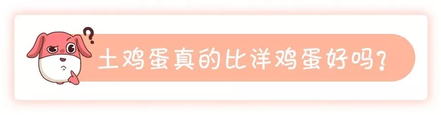 营养|土鸡蛋真的比洋鸡蛋好吗?鸡蛋怎么吃更有营养?