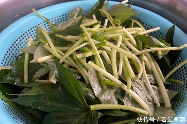 满地|秋天后,这菜别错过,农村满地没人要,城里人却当宝,能润肠通便