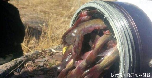  水管|工作人员正在喷水灭火，水流突然中断，检查后发现不可思议的一幕