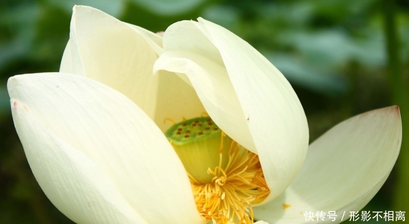 喜多|10月开始,紫气东来,喜多财旺,日子幸福美满的四大生肖