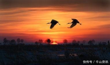 随风|余生,让往事随风,让爱恨随意!