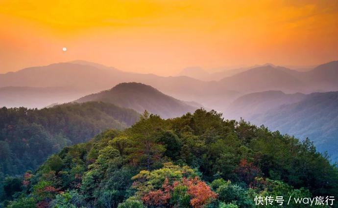  森林|高温席卷的初夏，不如去这些堪比童话仙境的小众森林里乘个凉！