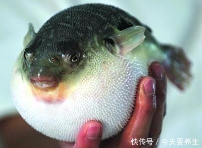 特色|海安市8大推荐美食,地方美食彰显地方特色