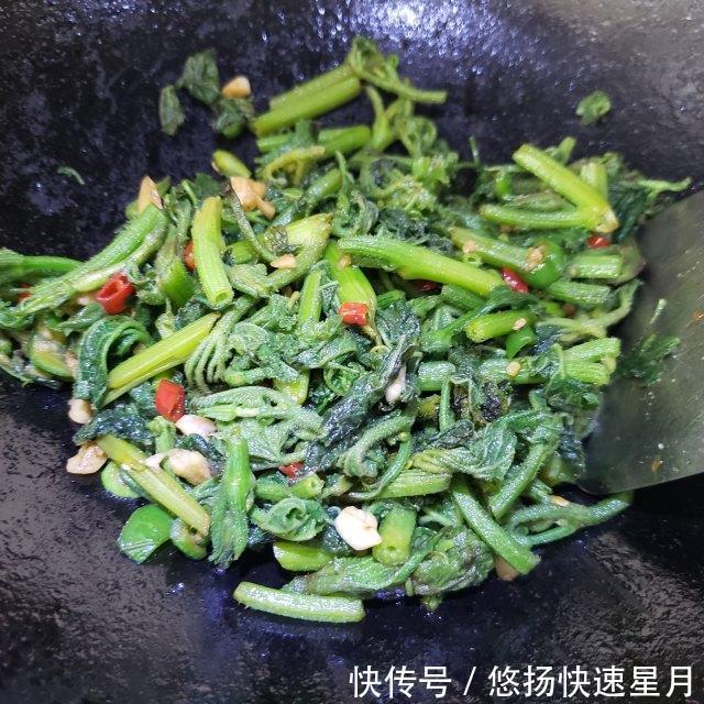  清炒|清炒南瓜苗，清脆爽口的农家菜