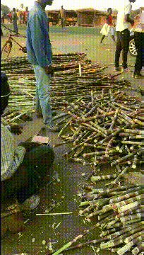  妈妈|搞笑GIF：儿子托梦告诉我，这个妈妈他一定要得到