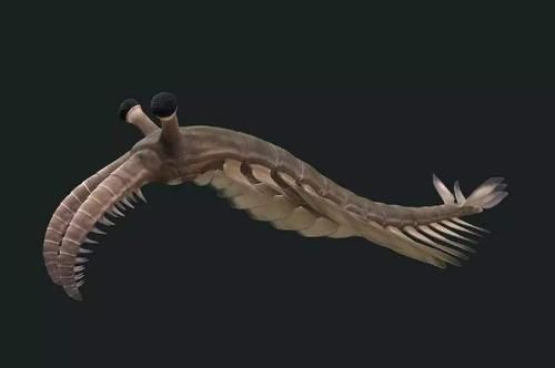 上榜|探索神奇的世界世界10大灭绝动物，霸王龙和渡渡鸟上榜，你认识几个