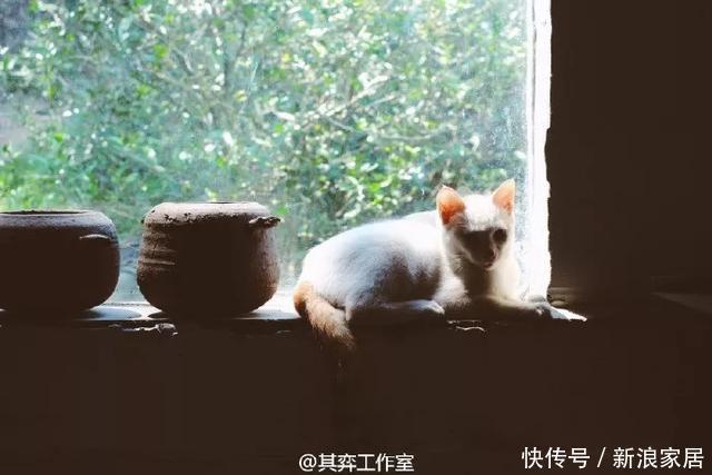 买下|4万买下200平婚房,隐居山林,与泥土为伴,将生活过成了童话