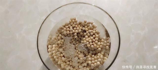 黄豆|想吃豆腐不要买，1碗黄豆1碗水，教你在家做，操作方便，好吃