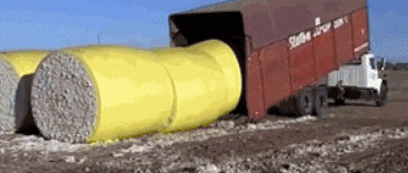 GIF|搞笑GIF:最环保的婚礼车