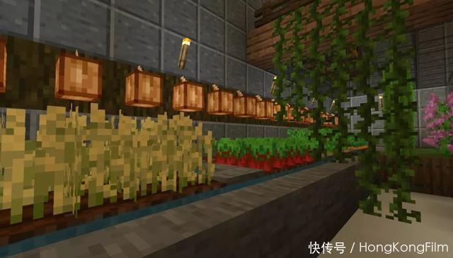 五脏俱全|《我的世界》史上最强胶囊屋介绍！麻雀虽小，五脏俱全！