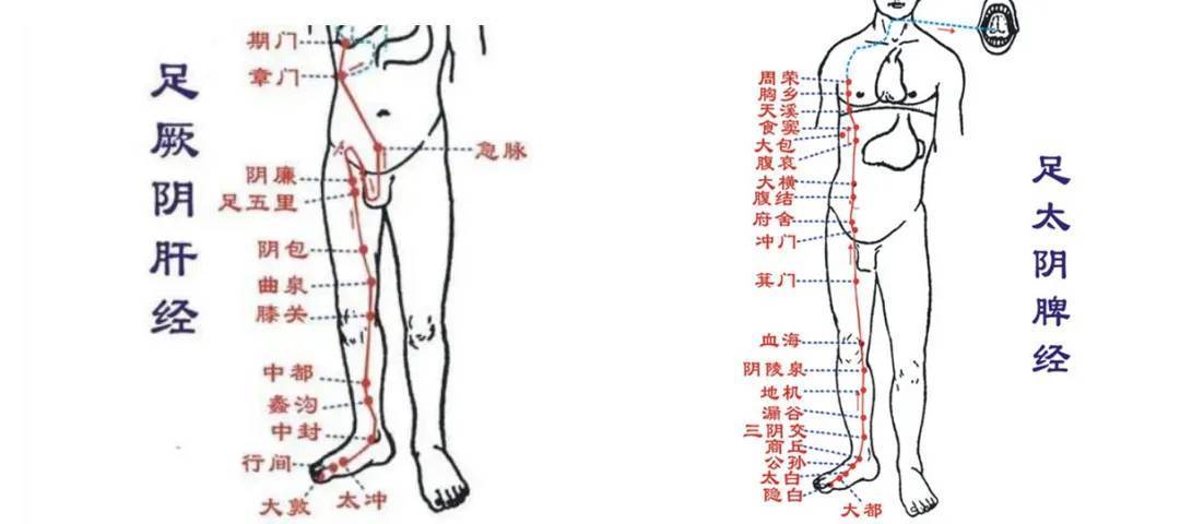 开云体育- 开云体育官方网站- 开云体育APP下载肝经当令时间是几点到几点