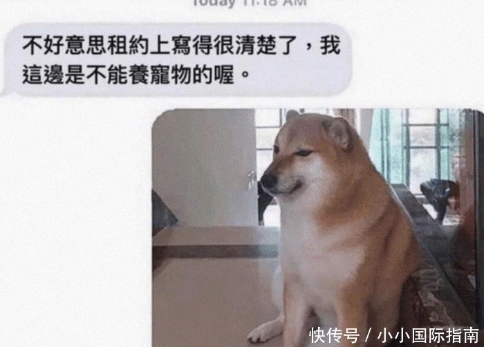 原则|房东能多没有原则?一张照片就妥协,不过是我也认了!哈哈哈