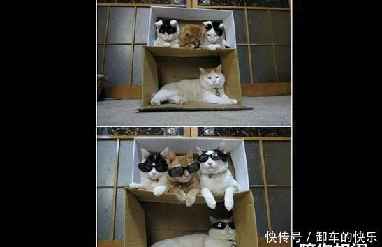  高原|西藏那种高原上蚊子多不多