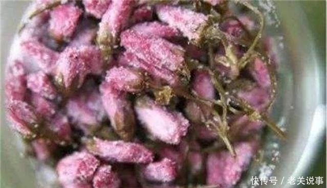 垃圾|在中国被视为“垃圾”,却被日本人视为美食,网友:确定这个能吃