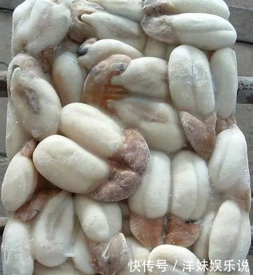 海鲜|海鲜大全, 你能认出多少