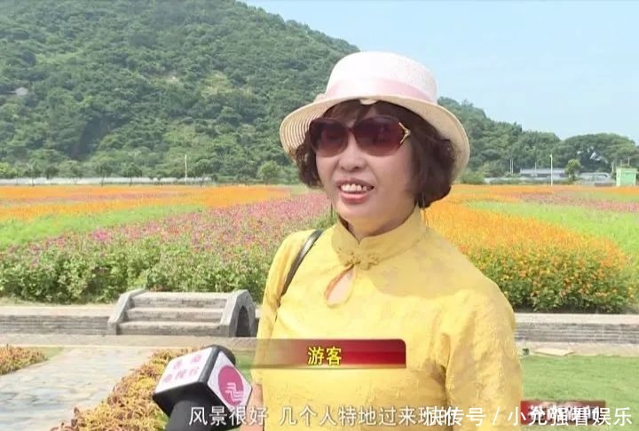  花海|苍南这个村藏着80亩花海，太美了！