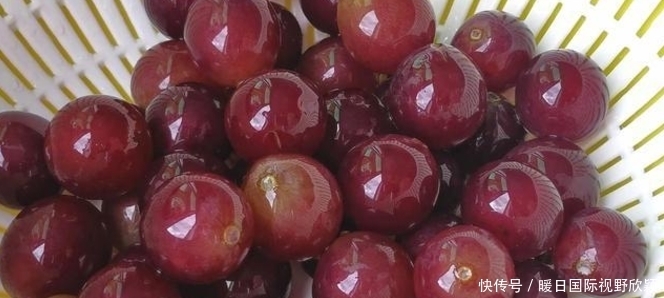 盐水|洗葡萄用盐水就错了,等于吃虫卵,教你2个技巧,虫卵跑光光