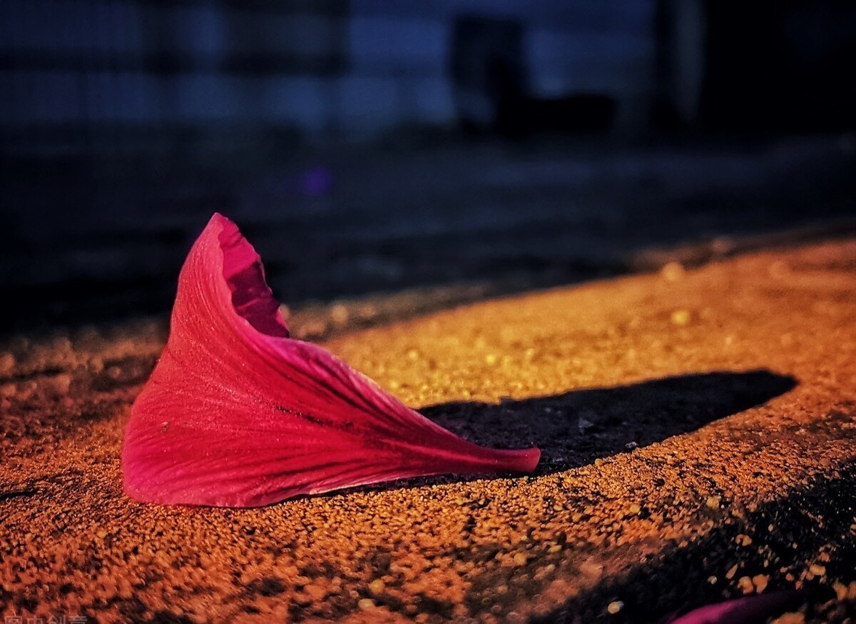 烟消暮雨残|心的站台,回首之时,落花的碎沾满了尘埃