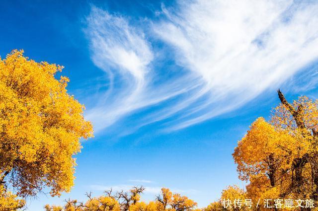 热烈|等待一年,只为胡杨林21天的极致灿烂和浓烈!