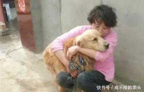 弃养|金毛被捆住嘴巴拴在救助站前, 狗眼透露悲伤, 弃养方式使人难过!