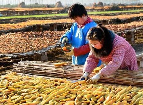 发现自己晒出来|自制红薯干时,多加一步,软糯香甜,还不发黑