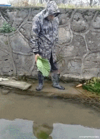  搞笑|搞笑GIF：本以为是高手，没想到是个二货