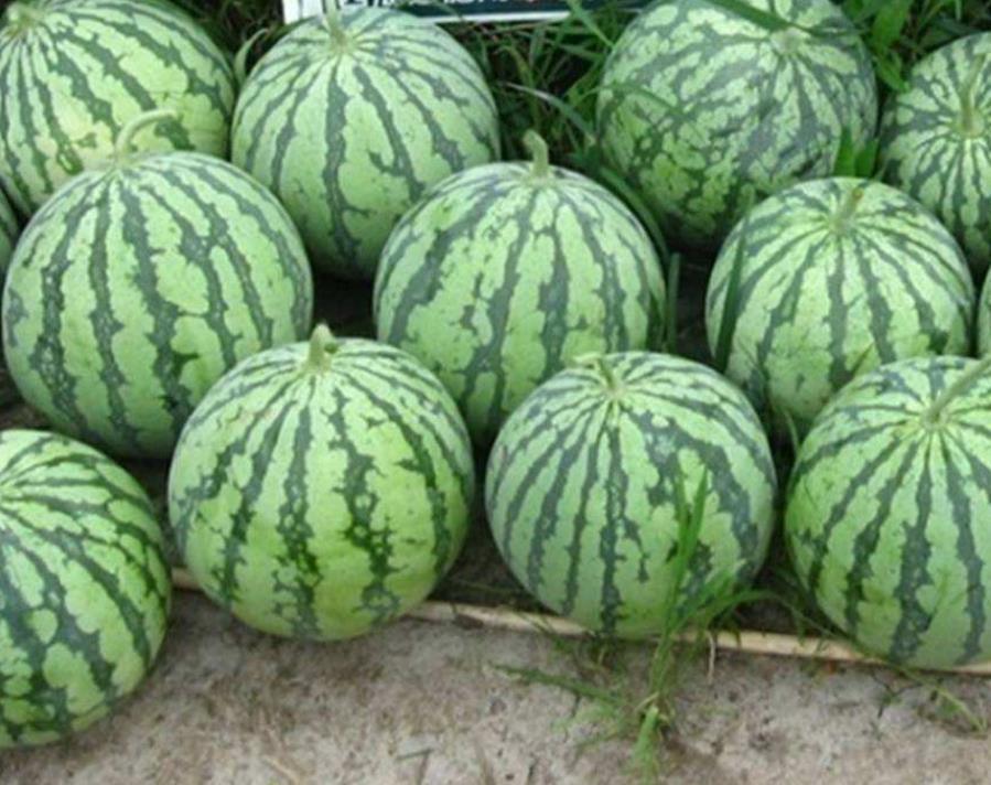 吃不完|西瓜吃不完别放冰箱了,水果店老板教我这样做,放3天都不坏