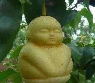 外表欺骗|网评“最难吃”的5种水果,榴莲落榜,吃过3种的敬你是条汉子