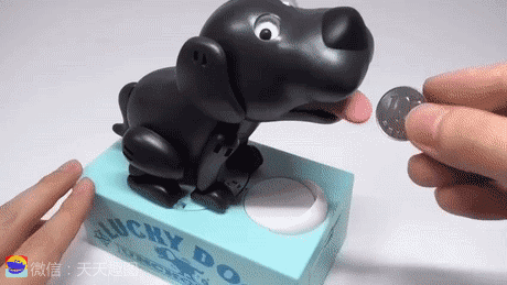 GIF|搞笑GIF：哥们，你这是在用鸽子做导航吗？想象力真丰富