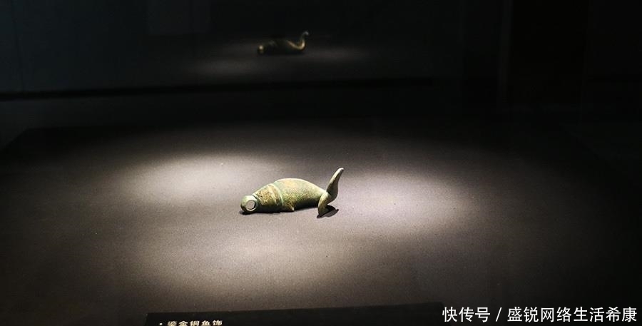 遗址|唐朝有多盛？来看这座皇宫遗址下的博物馆，一砖一瓦显霸气！