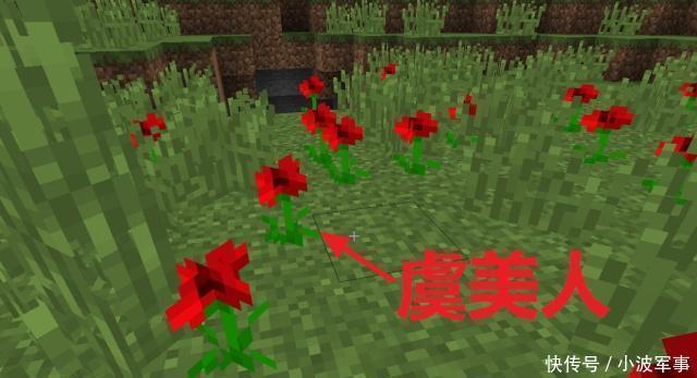世界|我的世界有趣历史那些被改了名字的物品,虞美人到底是个啥