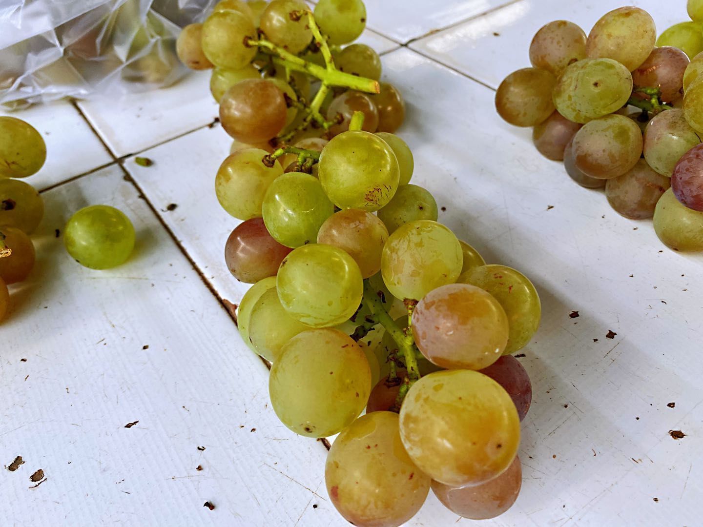 小妙|葡萄不要清水洗,灰尘虫卵洗不掉,教你一个小妙招,脏东西全跑光