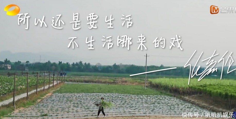 任嘉伦|《向往4》最敢说的嘉宾,来蘑菇屋只想唠嗑,称自己的角色是面瘫