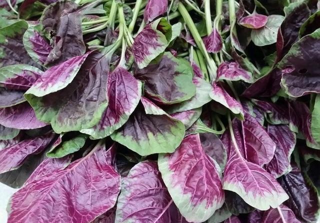  草酸|这几种菜做之前一定要焯水，吃坏了身体事儿就大了！