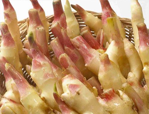  聪明|三伏天，聪明的人最爱吃此零食，每天吃3片，精神满满过夏天