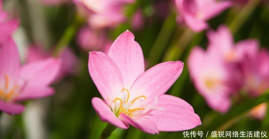  成就一番|最大气的3星座，有远见，有眼光，深谋远虑，能成大事