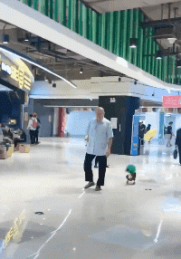 节目|搞笑GIF:这是一个很辣的节目