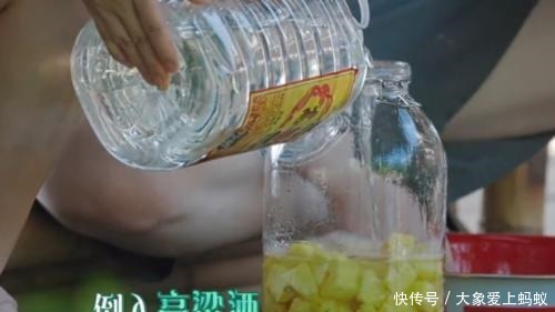  菠萝|《向往4》结束后再无下一季宋丹丹酿菠萝酒，何炅不慎说漏嘴了