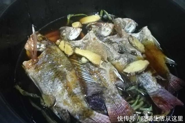 糖醋|土鲫鱼最好吃的方法,糖醋葱烧,连骨酥,开胃健脾