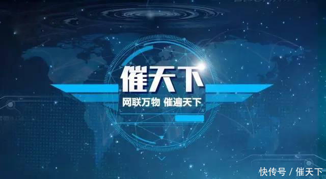 提供担保|反担保人是否必须要承担债务呢