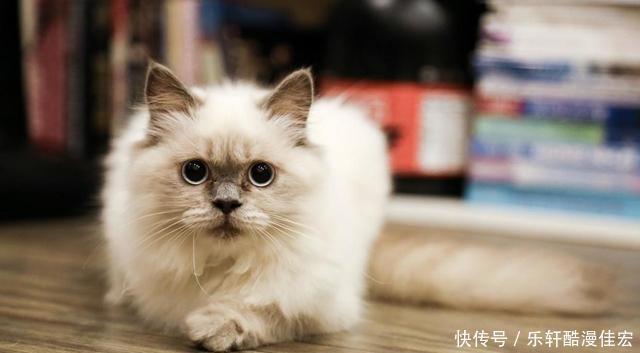 前任|九月份也是爱情月,这3个星座对旧爱念念不忘,有信心让前任回头