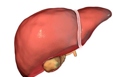 酒精|白酒和啤酒，哪个更健康医生提醒这样喝酒，身体健康危害小