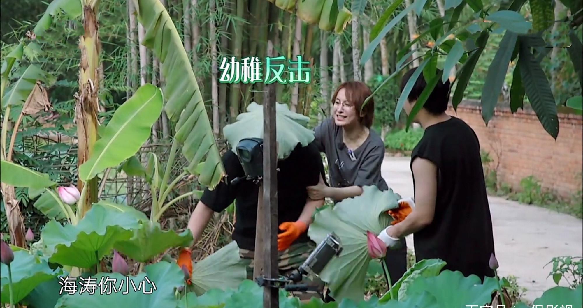 快乐|《向往的生活》快乐大本营大集合,黄磊遭遇厨艺第一次滑铁卢