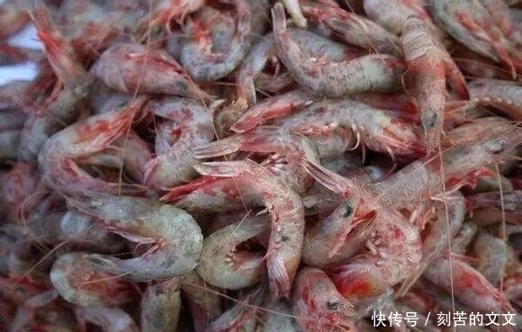  认出|海鲜大全, 你能认出多少