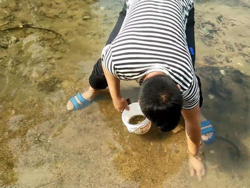 护肝|河沟里一种美味,7月最肥美,鲜甜可口不输海鲜,还能解酒护肝