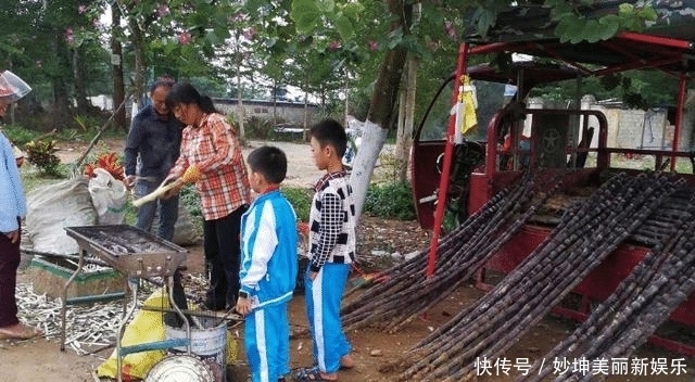 小商贩|水果店中不常见甘蔗,路边小商贩却卖得开心?总算知道为何了