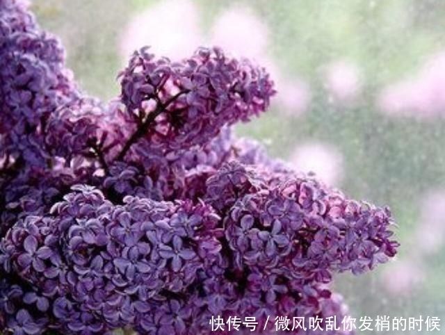 隐忍|能屈能伸,进退有度的星座,得意时高调,失意时又能保持隐忍