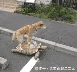 这家|每次来这家火锅店，都非常满足